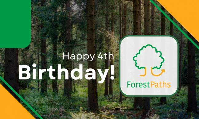 ForestPaths turns 4