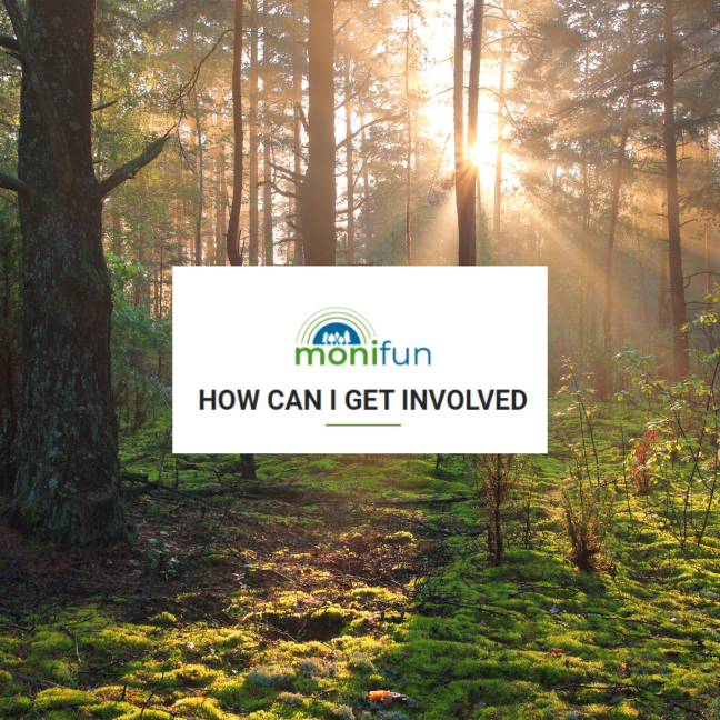 The MoniFun project launches a survey to build up a forestry stakeholder network