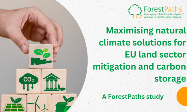 Maximising natural climate solutions for EU land sector mitigation and carbon storage: a ForestPaths paper