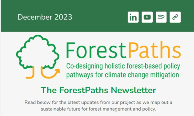 Wrapping up 2023: ForestPaths' second newsletter