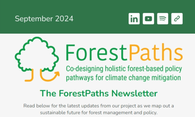 Summer is over: ForestPaths' fourth newsletter has arrived