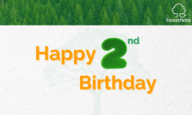 Celebrating ForestPaths’ second year of co-designing holistic forest-based policy pathways for meeting climate and biodiversity goals