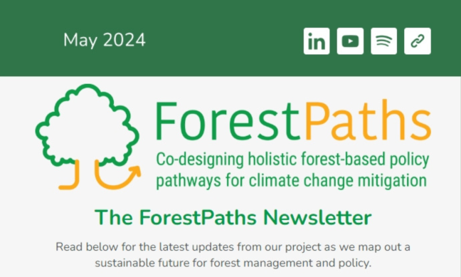 Get the scoop: ForestPaths third newsletter is herе