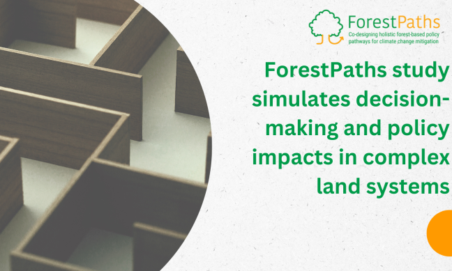 ForestPaths study simulates decision-making and policy impacts in complex land systems