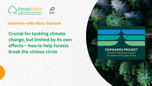 Hans Verkerk in an interview on the climate change status quo and research pathways