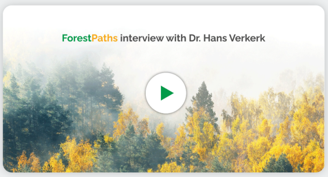 New video: Hans Verkerk takes us through the story of ForestPaths