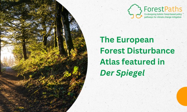 ForestPaths’ European Forest Disturbance Atlas featured in Der Spiegel