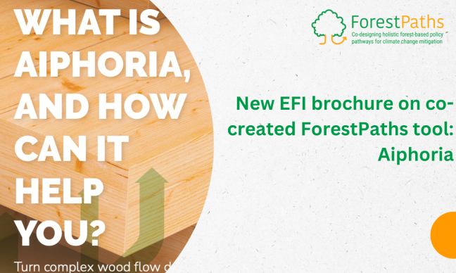 New EFI brochure highlights capabilities of aiphoria modelling tool