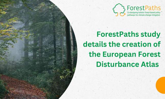 ForestPaths study details the creation of the European Forest Disturbance Atlas