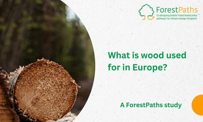 What is wood used for in Europe? A ForestPaths analysis of wood flows across the EU