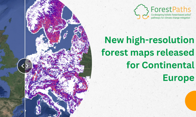New high-resolution forest maps released for Continental Europe