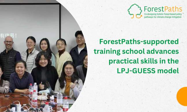 ForestPaths-supported training school advances practical skills in the LPJ-GUESS model