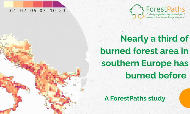 New study finds nearly a third of burned forest area in southern Europe has burned before