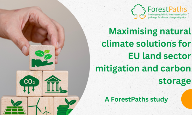 Maximising natural climate solutions for EU land sector mitigation and carbon storage: a ForestPaths paper