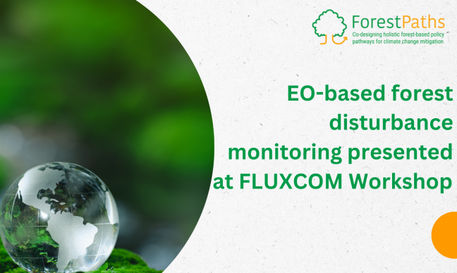 EO-based forest disturbance monitoring presented at FLUXCOM Workshop