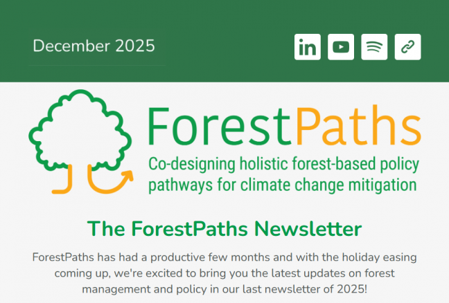 ForestPaths wraps up 2025: Highlights from the biannual newsletter