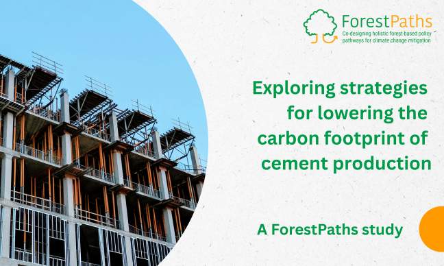 Exploring strategies for lowering the carbon footprint of cement production: a ForestPaths study