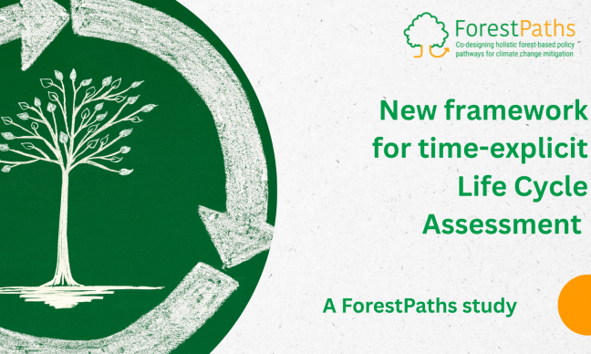 ForestPaths study provides a new framework for time-explicit Life Cycle Assessment