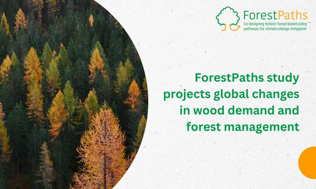 New ForestPaths study projects global changes in wood demand and forest management