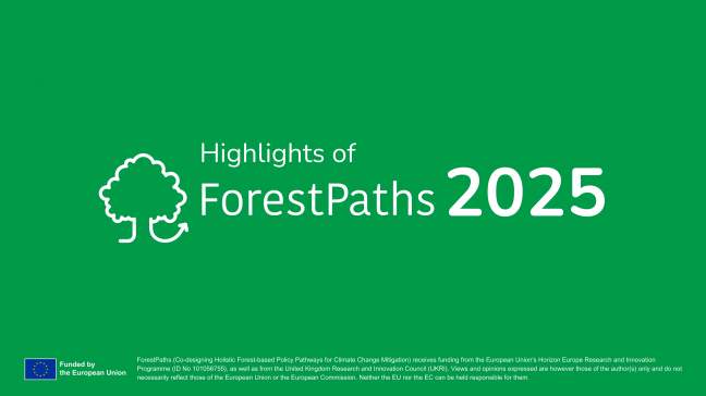 ForestPaths in 2025: highlights video now out