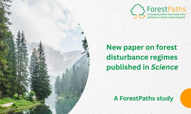 ForestPaths partners contribute to Science study on Europe's forest disturbance regimes