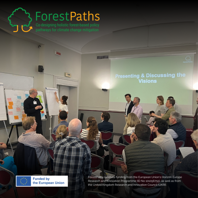 ForestPaths' second Policy Lab unites stakeholders to envision forests in 2050 and explore pathways to make those visions a reality