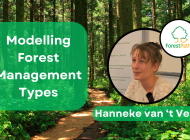 Modelling effects of forest management on biodiversity in ForestPaths: New interview with project partner Hanneke van ‘t Veen