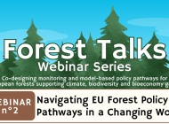 Forest Talks webinar explores geopolitical impacts on EU forest policy pathways