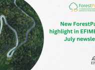 ForestPaths’ presentation at the Living Planet Symposium featured in the EFIMED newsletter