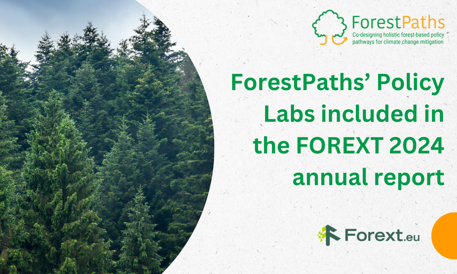 FOREXT highlights ForestPaths’ Policy Labs in its annual report