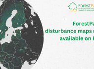 ForestPaths disturbance maps now available on FISE