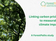 Linking carbon pricing to measurable climate impact: a ForestPaths study