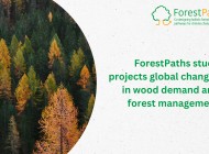 New ForestPaths study projects global changes in wood demand and forest management