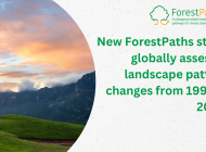 New ForestPaths study globally assesses landscape pattern changes from 1992 to 2020