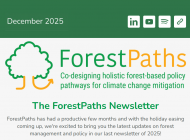 ForestPaths wraps up 2025: Highlights from the biannual newsletter