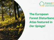 ForestPaths’ European Forest Disturbance Atlas featured in Der Spiegel