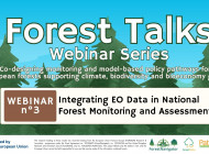 ForestTalks webinar explores integrating Earth observation and national forest inventories across Europe