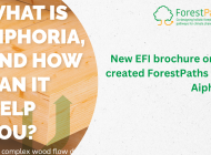 New EFI brochure highlights capabilities of aiphoria modelling tool