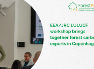 EEA/JRC LULUCF workshop brings together forest carbon experts in Copenhagen