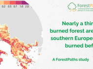 New study finds nearly a third of burned forest area in southern Europe has burned before