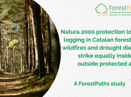 New ForestPaths paper: Natura 2000 protection lowers logging in Catalan forests but wildfires and drought dieback strike equally inside and outside protected areas